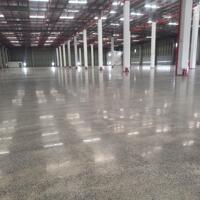 Cho thuê kho xưởng 4000m2-15000m2 KCN Xuyên Á, Mỹ Hạnh Bắc, Đức Hòa, Long An