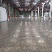 Cho thuê kho xưởng 4000m2-15000m2 KCN Xuyên Á, Mỹ Hạnh Bắc, Đức Hòa, Long An