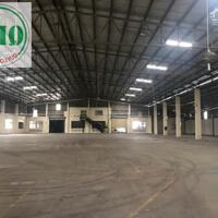 Cho thuê kho 9.600m2 ở CCN Thuận An, Bình Dương giá chỉ 50.000d/m2