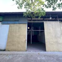 Cho thuê kho xưởng 250m² có điện 3 pha, nhánh đường Trần Quang Diệu, P. An Thới, Q. Bình Thuỷ, TP. Cần Thơ