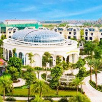 Làng Tỷ Phú Ngọc Trai Đảo Nhỏ - Vinhomes Ocean Park 2 - Phiên Bản Đảo Cọ Dubai Tại Hn - Nt3-72