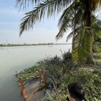 Bán Lô Đất 5000M2 Đất Trồng Cây Ở Trung Tâm Thị Trấn An Lão Cần Bán Có Bìa Đỏ