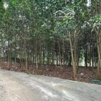 Bán Trang Trại Đẹp, Nhiều Tiện Ích Tại Xã Sơn Đông, Sơn Tây, Hà Nội, 10 Tỷ, 921 M2