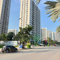 Tôi Chính Chủ Bán Biệt Thự Tại Quận 9 - Sát Vincity -Diện Tíchngang 6M Dài 33M (Full Thổ Cư)