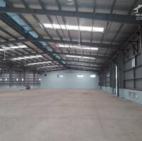 Cho thuê xưởng 7000m2 KCN Mỹ Xuân, Phường Mỹ Xuân, Tx Phú Mỹ, BRVT