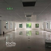 Siêu Phẩm! Cho Thuê Mặt Bằng Kd Đẹp Nhất Hoàng Cầu.diện Tích300M2 Lô Góc Mặt Tiền 30M, Kd Mọi Mô Hình