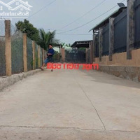 Đất 2 Măt Tiền Trung Tâm Gần Chợ Đất Đỏ 300M Ngang 14X22 Đường Ô Tô Giá Bán 1 Tỷ 3