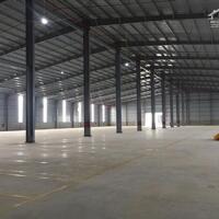 Cho Thuê Nhà Xưởng 19.000m2 Trong KCN Bàu Bàng Bình Dương