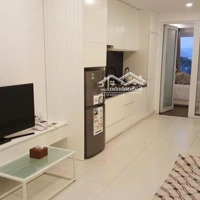 Cho Thuê Cc Champa Island, 10 Triệu, 51M2, 2 Phòng Ngủ 1 Vệ Sinh Ở Vĩnh Phước, Nha Trang