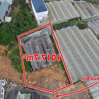 Chính Chủ Bán Đất Nguyễn Đình Quân, 22 Tỷ, 1017M2, Giá Cực Chất Hot!