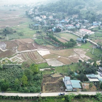 Lô Này Tiềm Năng Lắm Vì Đường Hồ Chí Minh Mở Dọc Đất.