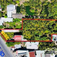 Bán Nhà + Vườn Liền Kề Ql1A Diện Tích 3000M2 Ngân Hàng Định Giá Bán 23 Tỷ