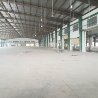 Kho Xưởng Cho Thuê Đường Nguyễn Hữu Trí, Bình Chánh, Dt: 20,000M2