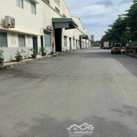 Kho Xưởng Cho Thuê Đường Nguyễn Hữu Trí, Bình Chánh, Dt: 20,000M2