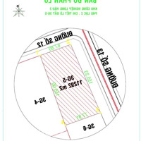 Bán Đất Nền Tại Đường 19, Xã Long Hậu, Cần Giuộc, Long An, 76,221 Tỷ, 11292 M2