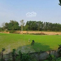 Bán Đất Nhuận Trạch, Lương Sơn, Hoà Bình