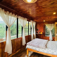 Căn Farmstay View Triệu Đô 1000M2 Giá Cắt Lổ Tại Trung Tâm Đà Lạt Có Sẳn Căn Nhà Gỗ Dọn Vào Ở Ngay.