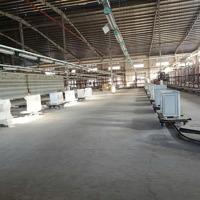 Cho Thuê Nhà Xưởng 10.000M2, 50.000M2 Trong Kcn - Bình Dương