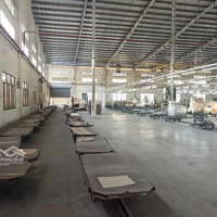 Cho Thuê Nhà Xưởng 10.000M2, 50.000M2 Trong Kcn - Bình Dương