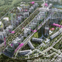 Cho Thuê 2 Phòng Ngủ Full Nội Thất 85M2 Diamond Alnata Plus Giá 19 Triệu