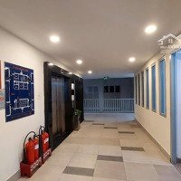 Cho Thuê Gấp Ch Penthouse Duplex An Phú-An Khánh Q.2, Full Nội Thất Cao Cấp, Giá Tốt 16 Triệu, Dễ Xem