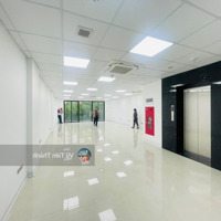 Cho Thuê Tòa Vp Tại Q.cầu Giấy, 220M2 X 8 Tầng, 1 Hầm, Mt: 12M. Thông Sàn, Thang Máy, Pccc,...