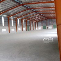 Cho Thuê Kho Xưởng Bến Lức, Long An, Khuôn Viên : 5.000M2, Nhà Xưởng : 3.600M2, Pccc Tự Động