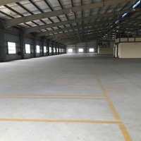 Cho Thuê Kho Xưởng Mới Xây - Bến Lức, Long An, Khuôn Viên: 8.000M2, Xưởng: 7.200M2, Pccc Tự Động