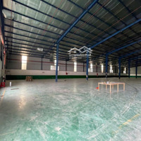 Cho Thuê 3.000M2 Kho Xưởng Ngoài Kcn Bàu Bàng Bình Dương. Giá 170 Triệu/Tháng