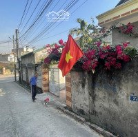 Cho Thuê Nhà/ Cửa Hàng, Mặt Tiền Đường Lớn Tại Phố An Tiêm, P. Hà Khẩu, Tp. Hạ Long. Diện Tích 30M2