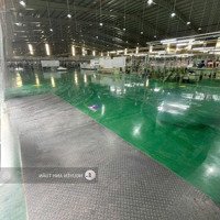 Cho Thuê 33.000 M2 Nhà Xưởng Trong Khu Công Nghiệp Tại Bình Phước