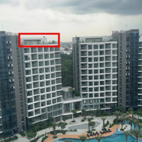 Penthouse Sân Vườn 212.4M2 4 Phòng Ngủ- View Rừng Xanh - Trả Chậm 24Tháng, Cđt Tại Celadon City