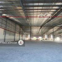 Cho Thuê 19.200M2 Nhà Xưởng Trong Khu Công Nghiệp Tại Long An (Bàn Giao Ngay)