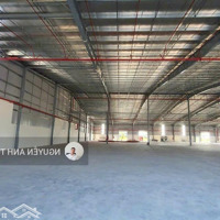 Cho Thuê 19.200M2 Nhà Xưởng Trong Khu Công Nghiệp Tại Long An (Bàn Giao Ngay)