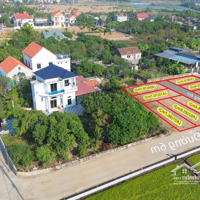 Bán Đất Kim Thành Giá Rẻ Chỉ Từ 430 Triệu/ Lô, Diện Tích Đa Dạng, Đường Ô Tô 4 - 6 Thông Thoáng