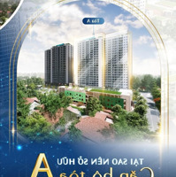 Bán Căn Hộ Chung Cư Bình An Plbán Căn Hộ Chung Cư Bình An Plaza, 1,4 Tỷ, 58 M2, Đẹp, Nhiều Tiện Ích