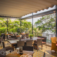 Hồ Tây, Mp Nguyễn Đình Thi Mặt Tiền 21M, Diện Tích ~700M, Nhà Hàng, Cafe Sân Vườn 0966022555