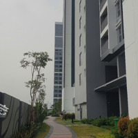 Bán Nhanh Căn Hộ Chung Cư Celesta Rise, Cạnh Đh Rmit, 1 Phòng Ngủ 49M2, Bàn Giao Thô, 3,390 Tỷ