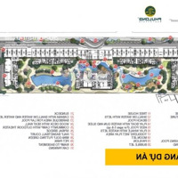 Bán Nhanh Căn Hộ Celesta Rise 79M2 2Pn 2 Vệ Sinhgiao Thô