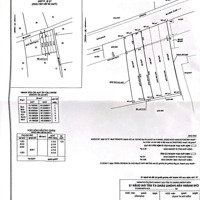 Bán Đất Hẻm 163 Đường Vườn Lài, Giá Bán 6,58 Tỷ Diện Tích 4 X 31.25M