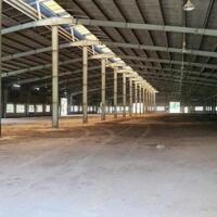 Cho thuê xưởng 5400m2, 10800m2 An Tây