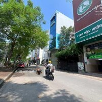 Bán gấp tòa Building mặt phố Nguyễn Khang, dòng tiền 1.8 tỷ/năm, thông sàn, vỉa hè rộng, PCCC đầy đủ, 90m2 chỉ 45 tỷ