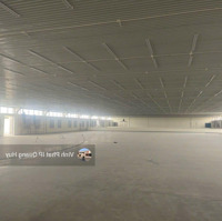 Cho Thuê Nhà Xưởng Dt: 12000M2, Giá 66 Nghìn/M2 Tại, Thanh Hóa, May Mặc, Giày Da, Làm Fdi