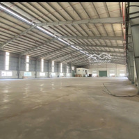 Cho Thuê Kho Xưởng Kcn Hải Sơn , Long An, Khuôn Viên : 10.000M2, Xưởng: 7.000M2 , Pccc Tự Động