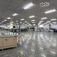 Cho Thuê Kho, Xưởng Khu Công Nghiệp Văn Lâm, Hưng Yên Diện Tích: 1000M2 Đến 100.000M2 (Chia Nhỏ Theo Cầu)