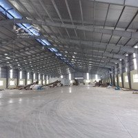 Cho Thuê Kho Xưởng Giá Rẻ Trong Và Ngoài Kcn Cẩm Giàng, Hải Dươngdiện Tích1.000M, 5.000M2 200.000M2