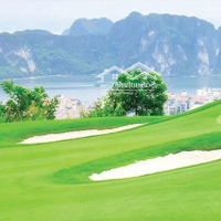 Chuyển Nhượng Dự Án Sân Golf 18 Hố Flc Hạ Long Golf Club & Resort Quảng Ninh