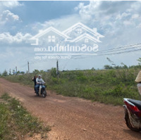 Đất Cây Lâu Năm Phù Hợp Làm Homestay View Hồ Trị An