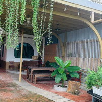 Bán Căn Homestay Mặt Tiền Đường Liên Hoa, Vĩnh Ngọc- Ngay Mặt Bờ Kè Sông Cái