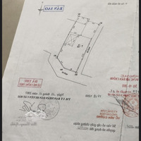 Cần Tiền Bán Nhanh Lô Góc Cực Đẹp Tại Trung Tâm Thị Trấn Cát Bà